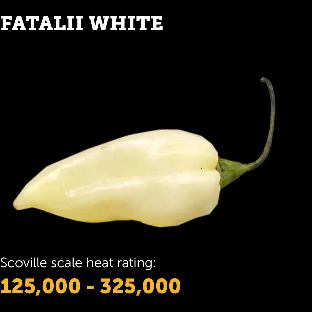 Ignition Seeds | Grow Fatalii White Peppers in New Zealand – Ignition ...