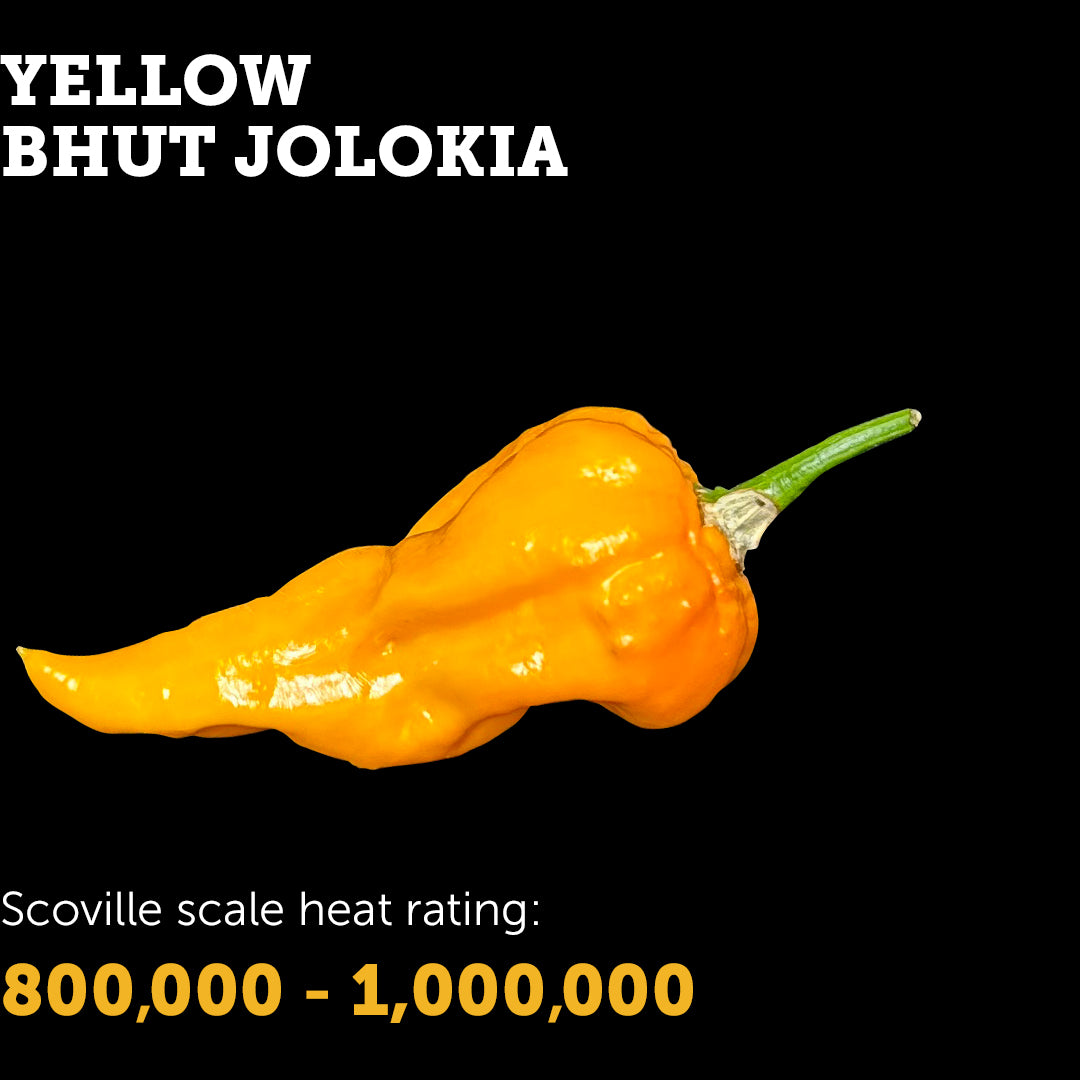 Bhut Jolokia (Yellow) Seeds