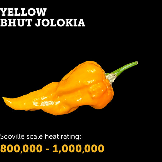 Bhut Jolokia (Yellow) Seeds