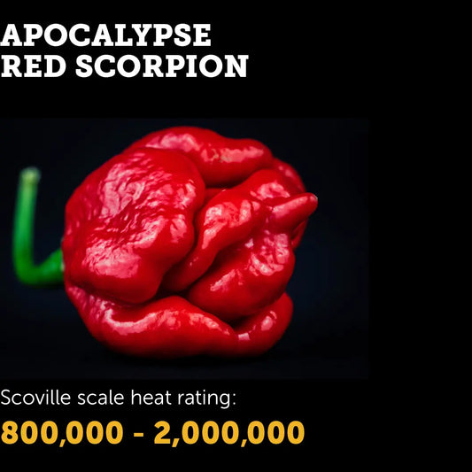 Chilli Seeds NZ Apocalypse Red Scorpion Chilli