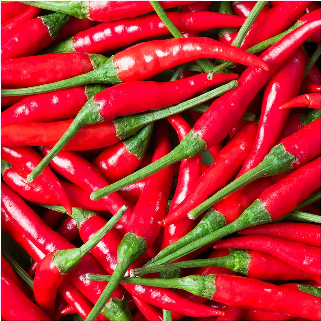 Chilli Seeds NZ Birds Eye Chilli Pods