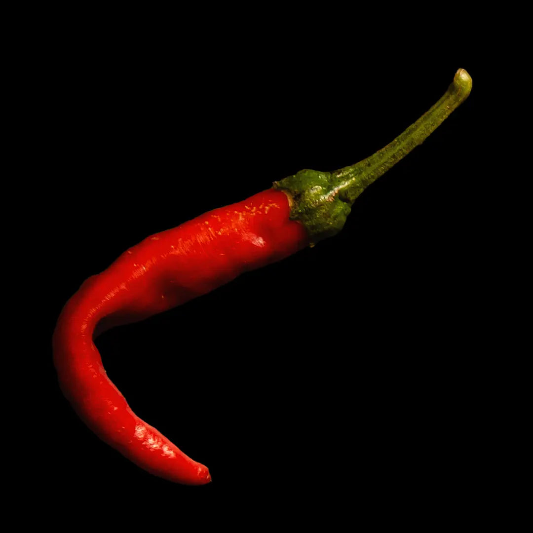 Chilli Seeds NZ Birds Eye Chilli