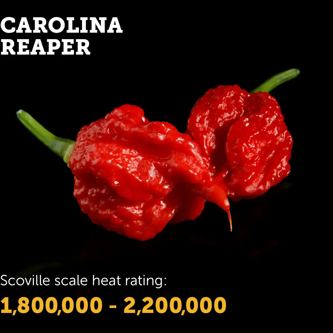 Spice Up Your Life with the Carolina Reaper: The World's Hottest Chilli ...
