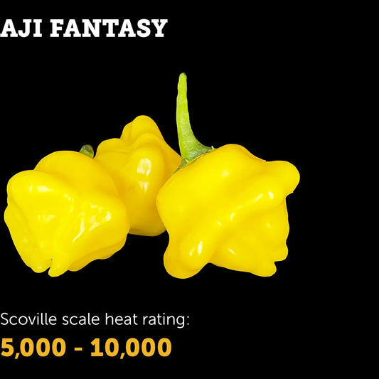 Chilli Seeds NZ Aji Fantasy Chiilies