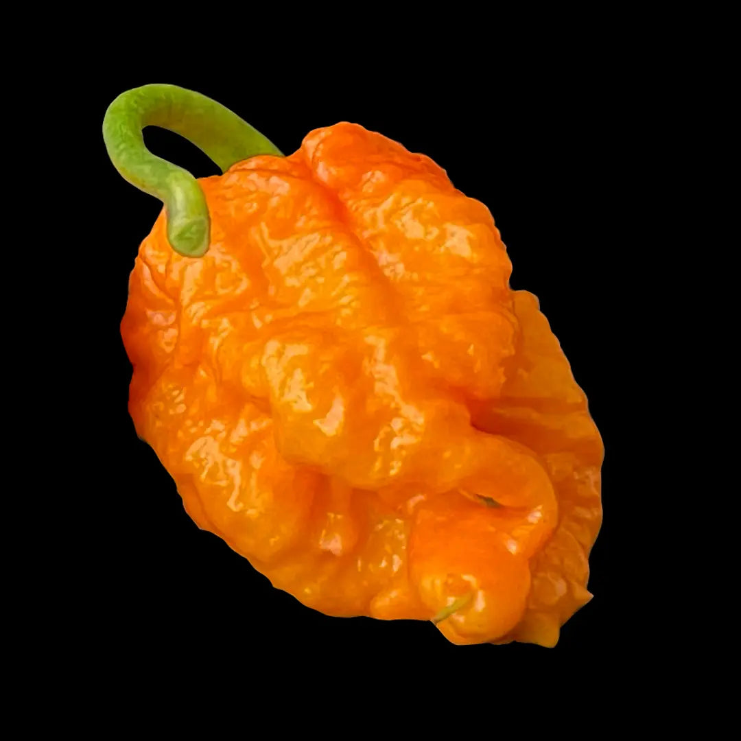 Chilli Seeds NZ Carolina Reaper (Orange) Chilli