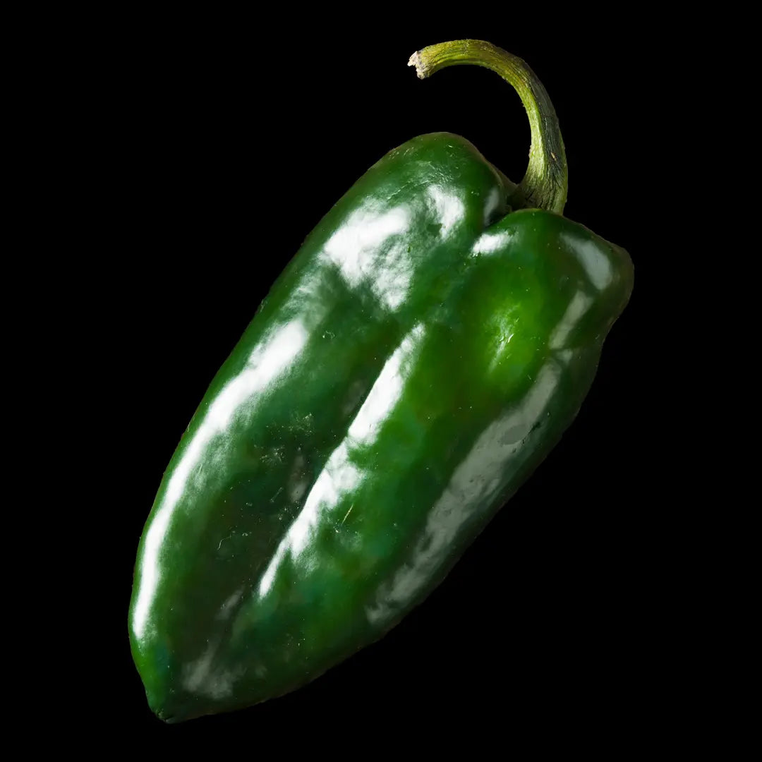 Chilli Seeds NZ Poblano Chilli