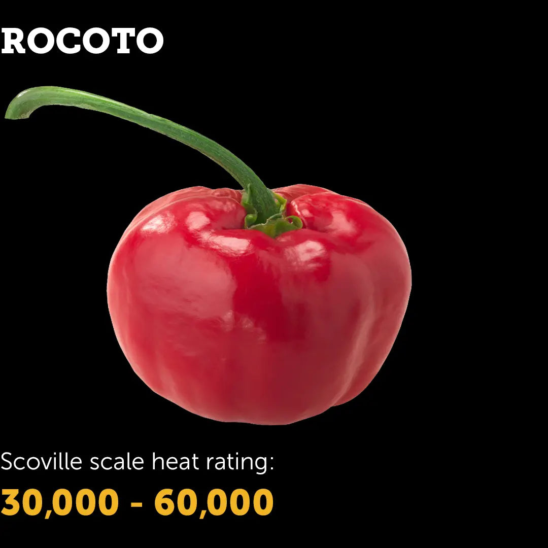 Chilli Seeds NZ Rocoto Chilli