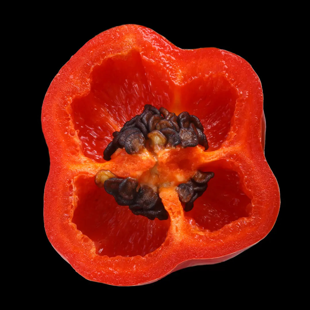 Chilli Seeds NZ Rocoto Chilli Cut Open