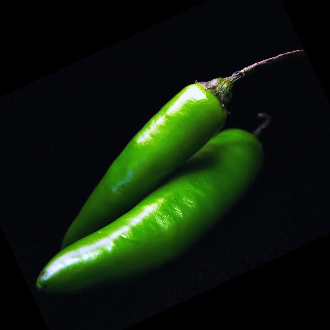 Chilli Seeds NZ Serrano Chillies