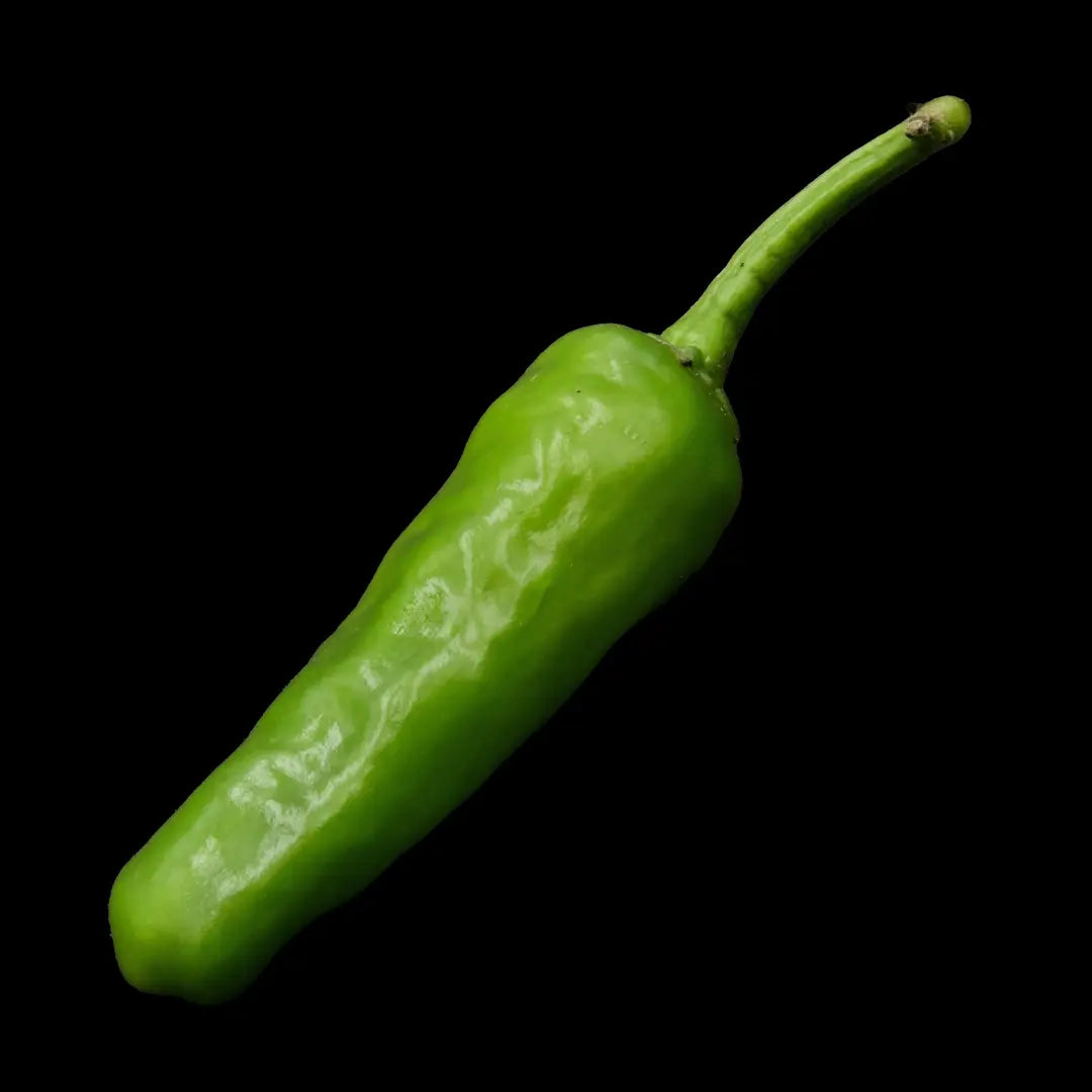 Chilli Seeds NZ Shishito Chilli